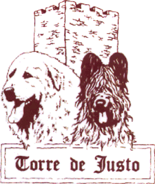 TORRE DE JUSTO